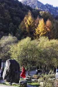 秦嶺留壩環線之情人谷