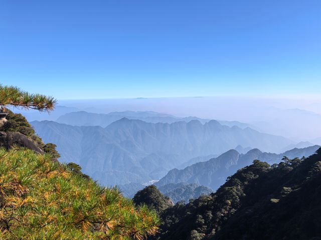 聽我的，不費腿看美景