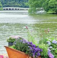 深圳仙湖花展開展啦