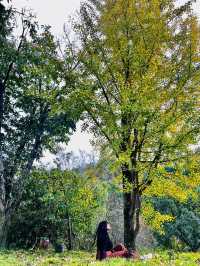 🍂 A Quiet Afternoon at Ziwei Mountain Villa