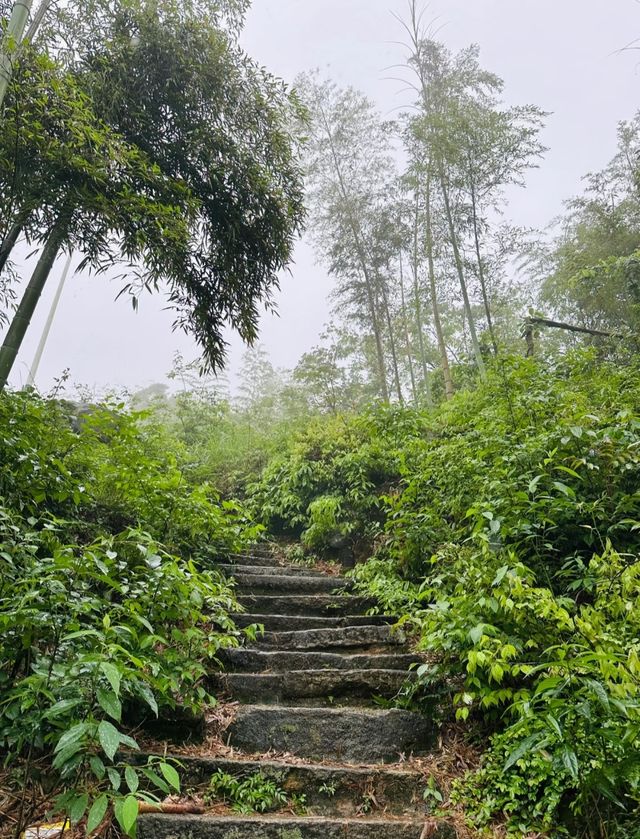 避暑固原：在涇源老龍潭邂逅18度的夏天