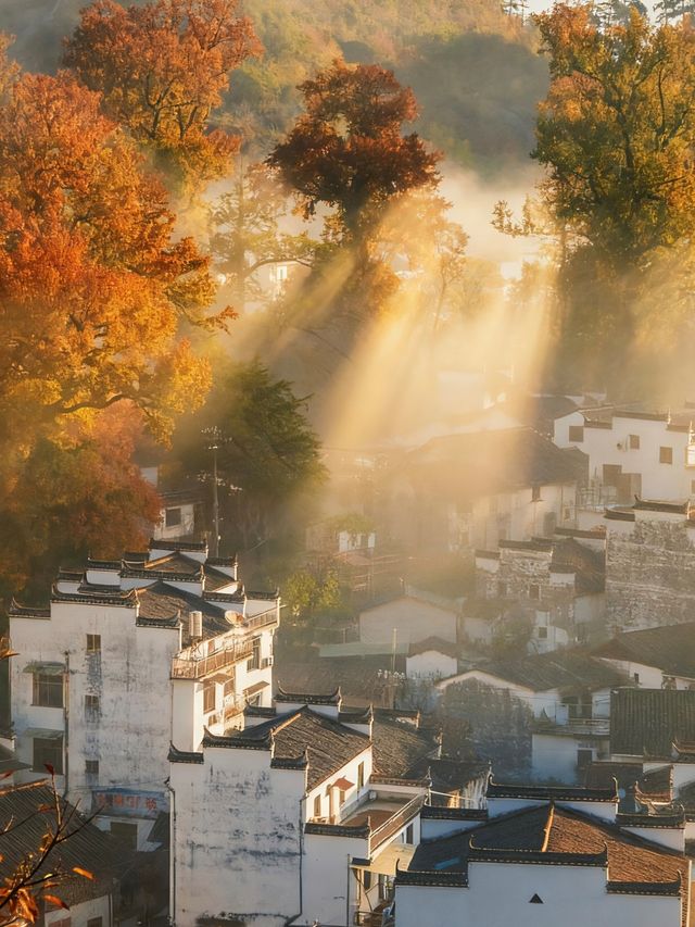 江西賞秋寶藏地