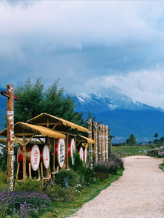 來麗江必拍雪山仙境