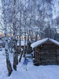 冰雪覆蓋的村落