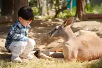 2h直達上海周邊遛娃聖地南通野生動物