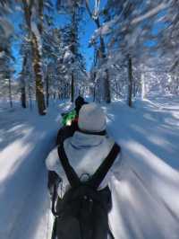 實話難聽,但這就是冬天帶娃來哈爾濱的現狀