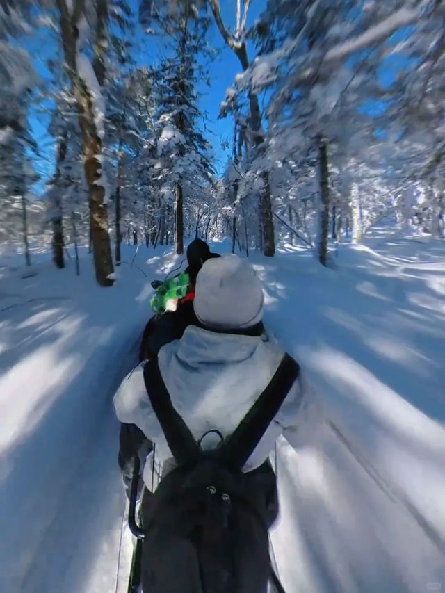 實話難聽,但這就是冬天帶娃來哈爾濱的現狀 實話難聽,但這就是冬天帶娃來哈爾濱的現狀