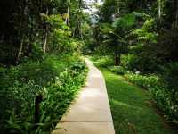 **標題:蘭卡威天堂|達泰度假酒店,這裡能聽見大自然的低語** 酒店:達泰蘭卡威(The Da