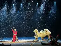 來西安必看演出