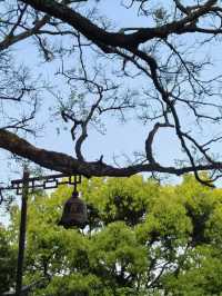 一海一剎一菩提，普陀山春遊記