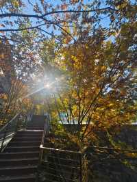 江南詩意泡湯體驗