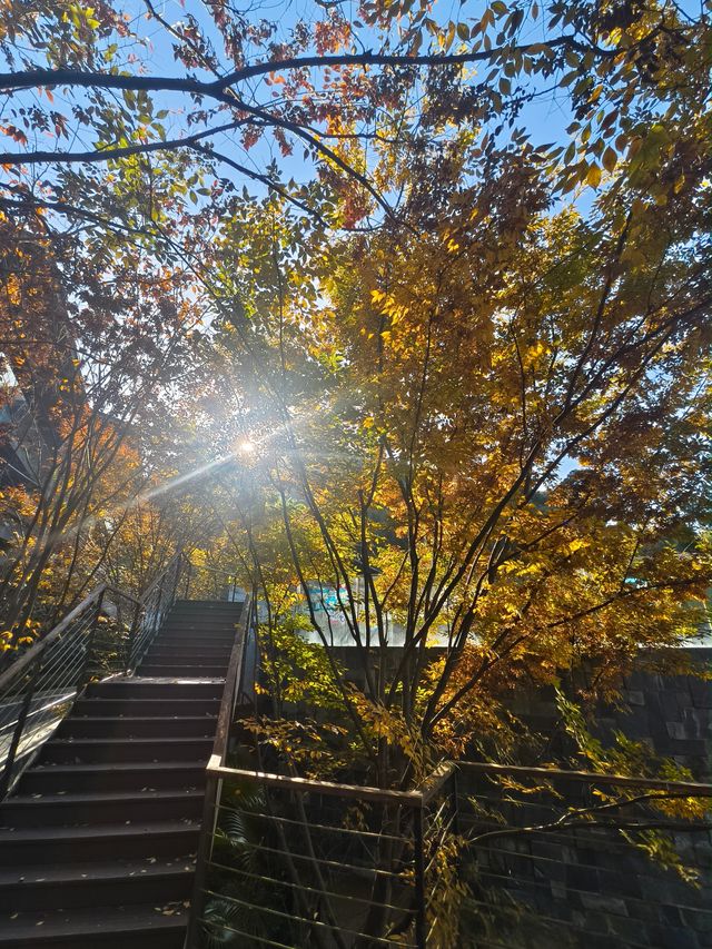 江南詩意泡湯體驗 江南詩意泡湯體驗