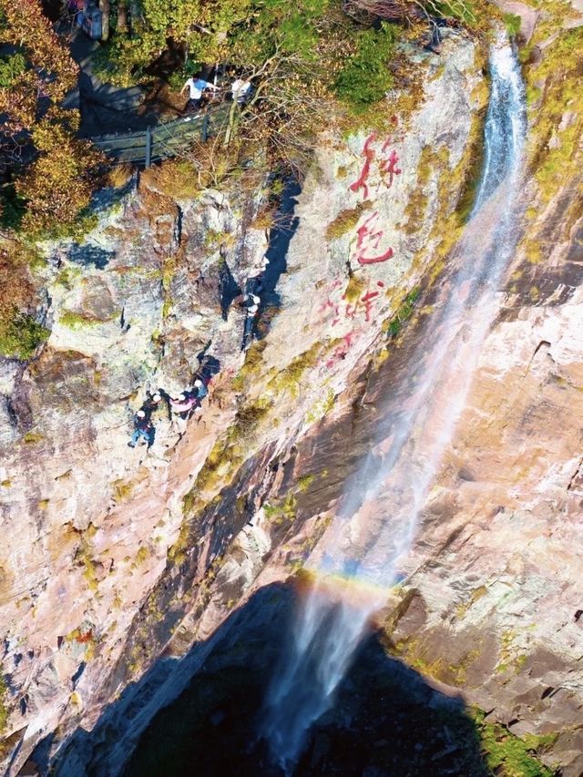 賞秋倒計時,四明山再不去葉子都謝完了 賞秋倒計時,四明山再不去葉子都謝完了