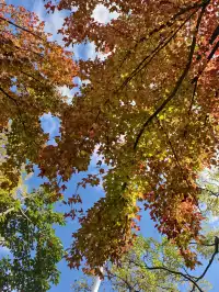 不上班，去昆明追風