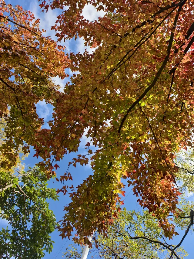 不上班，去昆明追風