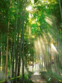 秋日魔都光影秘境