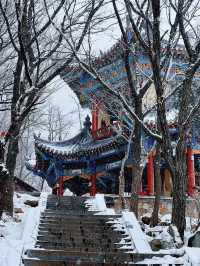 鄭州-洛陽5日遊 保姆級攻略來啦