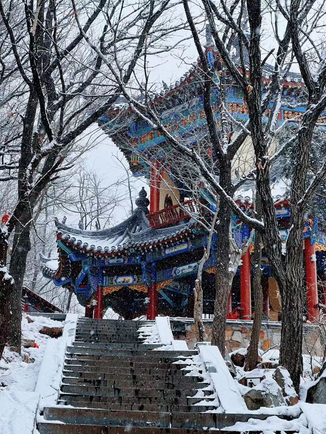 鄭州-洛陽5日遊 保姆級攻略來啦