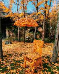 嘉興銀杏天花板|我在嘉興瘋狂收集秋天