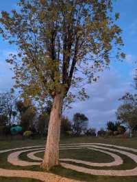 藍調時刻的雙龍橋