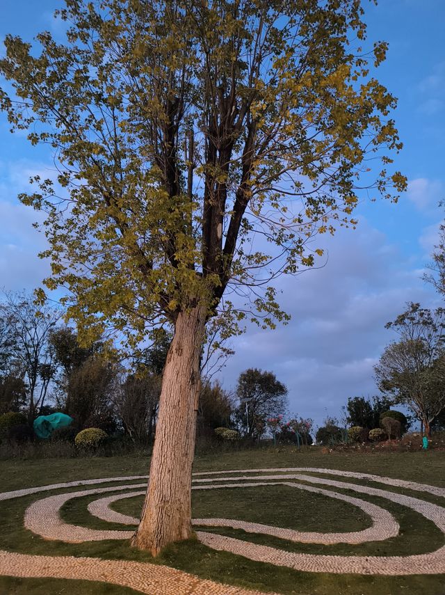 藍調時刻的雙龍橋