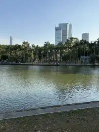 深圳的秋天 請來蓮花山公園大口吸氧吧