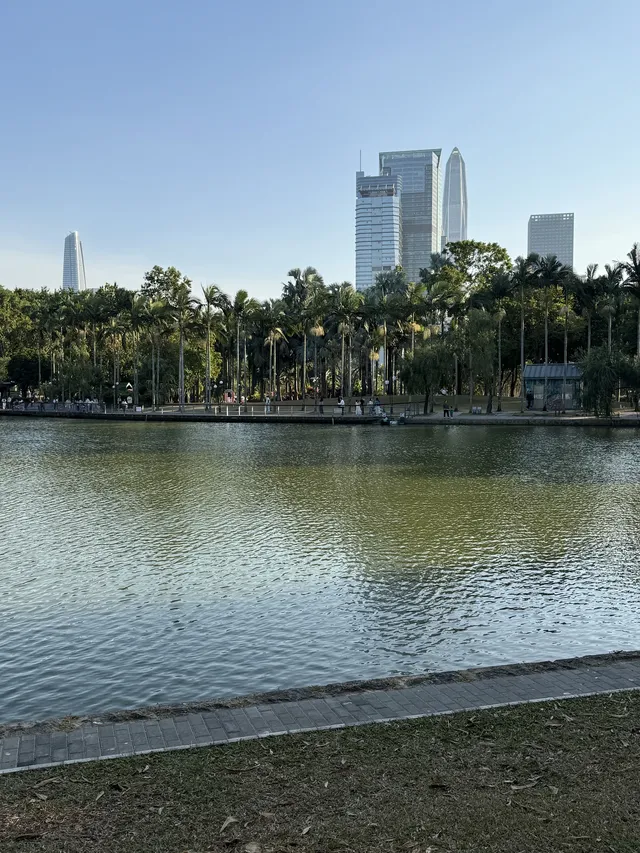 深圳的秋天 請來蓮花山公園大口吸氧吧