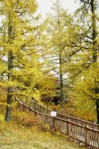 喀納斯湖 Kanas lake 天堂遺忘的地方