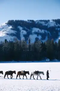 喀納斯冬日夢境|12月闖入冰封童話秘境