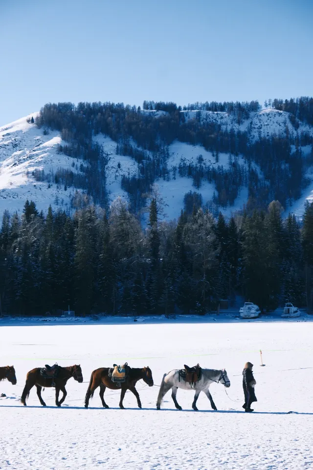喀納斯冬日夢境|12月闖入冰封童話秘境 喀納斯冬日夢境|12月闖入冰封童話秘境