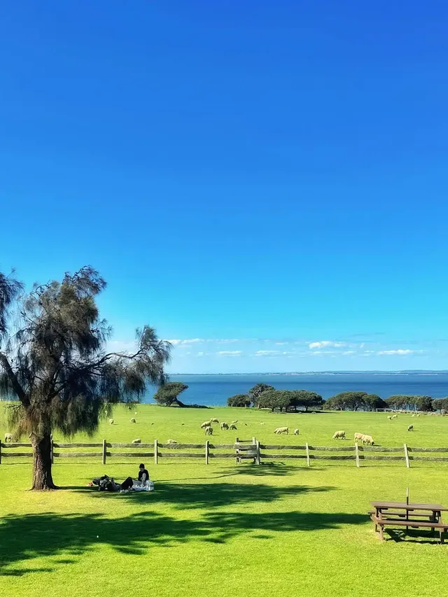 Melbourne週末好去處