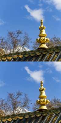 稻城亞丁|沖古寺和神秘的經幡森林