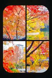 上海魔都秋日封神0元拍出國風大片