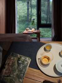 武夷山養巖山房:藏於松林的禪意棲居