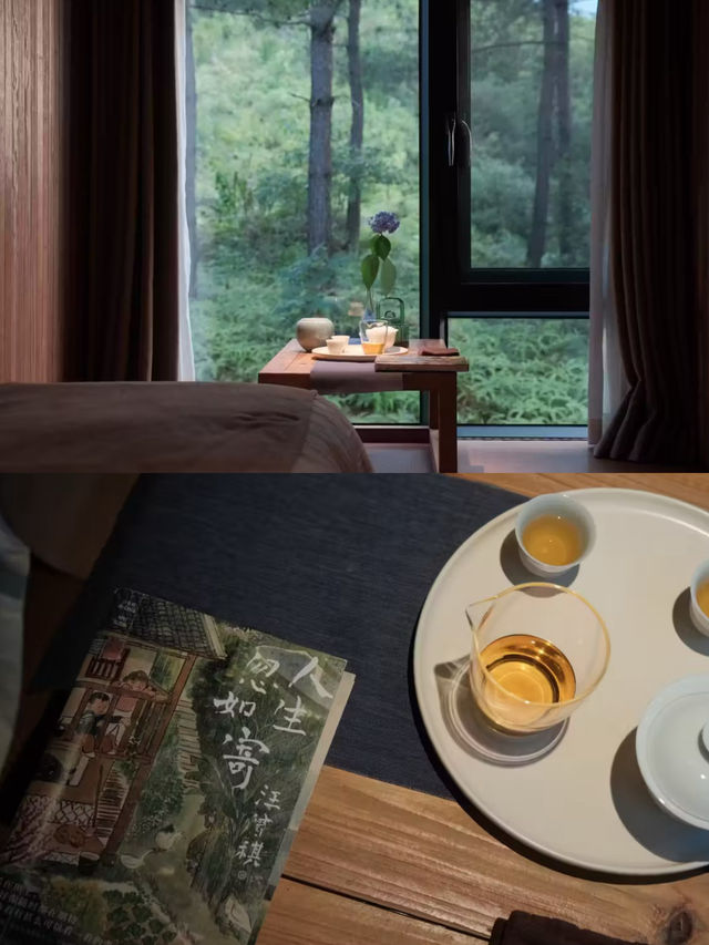 武夷山養巖山房:藏於松林的禪意棲居 武夷山養巖山房:藏於松林的禪意棲居