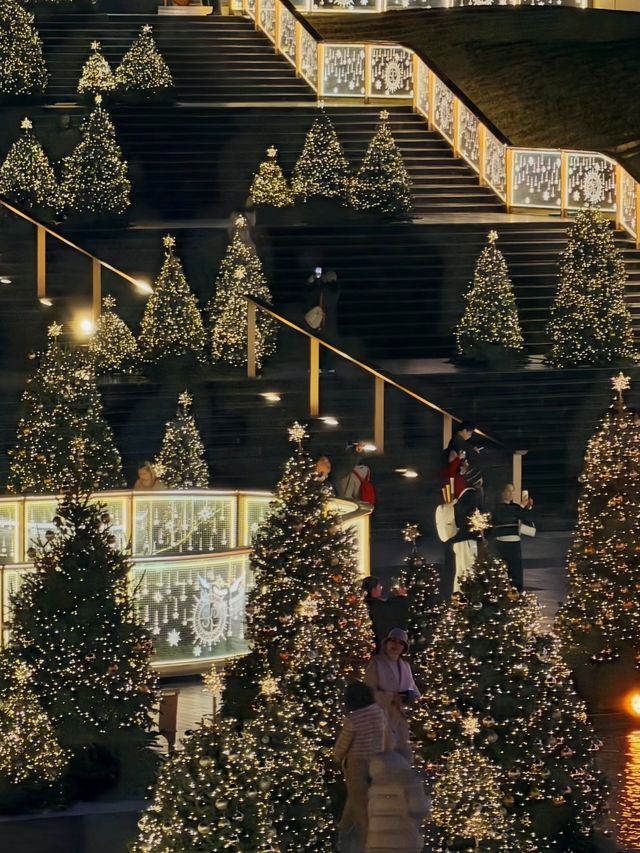 成都SKP聖誕封神地!100+聖誕真樹太絕了 成都SKP聖誕封神地!100+聖誕真樹太絕了