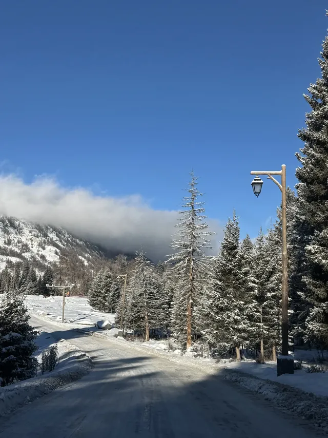 喀納斯自駕旅遊攻略11.25實況live