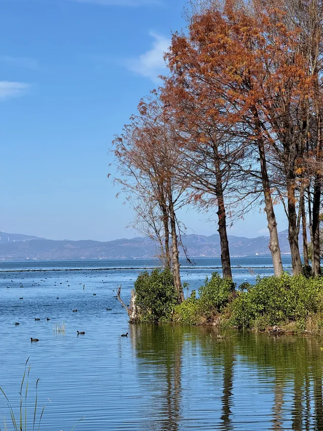 愛回收|來大理直接複製這條洱海一日遊路線! 愛回收|來大理直接複製這條洱海一日遊路線!