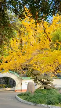 CSU中南也有自己的天空之城!神秘之地!