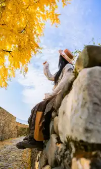 12.4實拍溫州銀杏王黃透了曬秋同框拍照