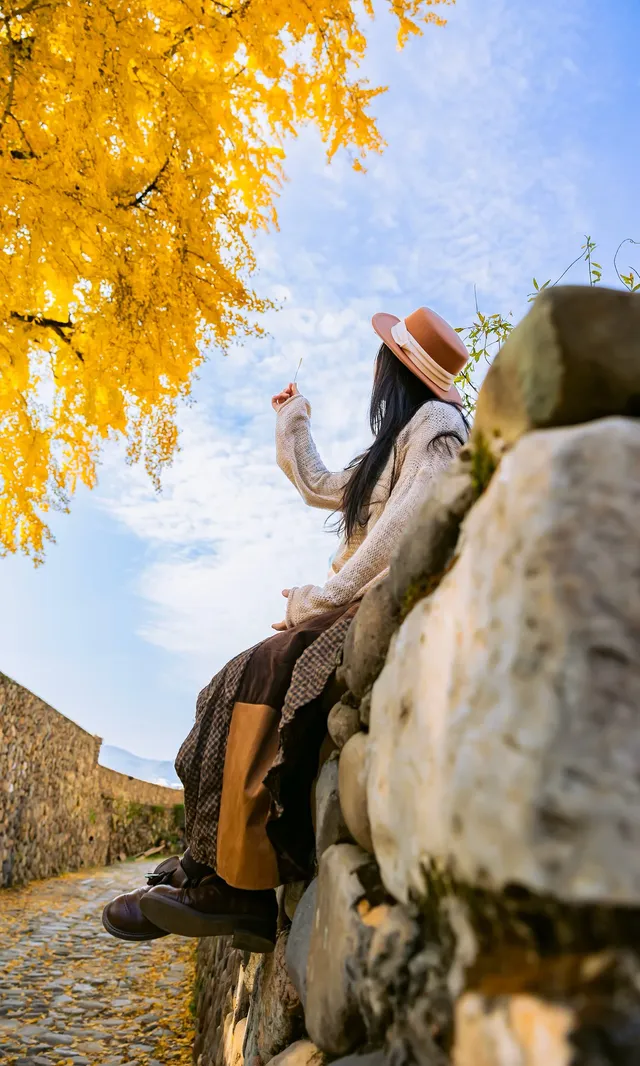 12.4實拍溫州銀杏王黃透了曬秋同框拍照 12.4實拍溫州銀杏王黃透了曬秋同框拍照