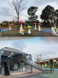 興義藏在森林裡的童話！星空樹屋太治癒了