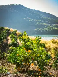 人少快衝，貴州也有暖冬「小三亞」