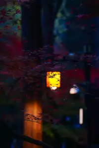 棲霞山 | 拍點不一樣的