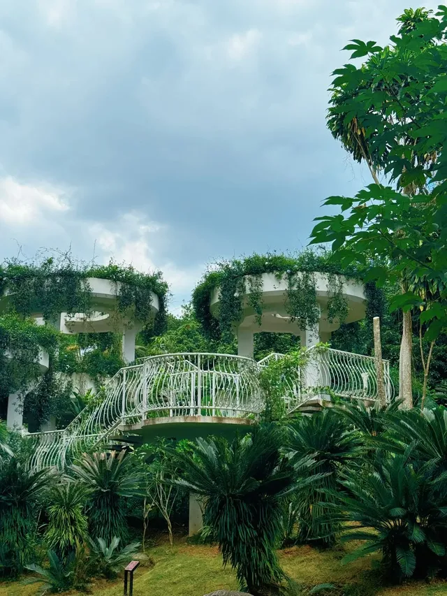 在熱帶冬天裡，被花卉園治癒的8小時