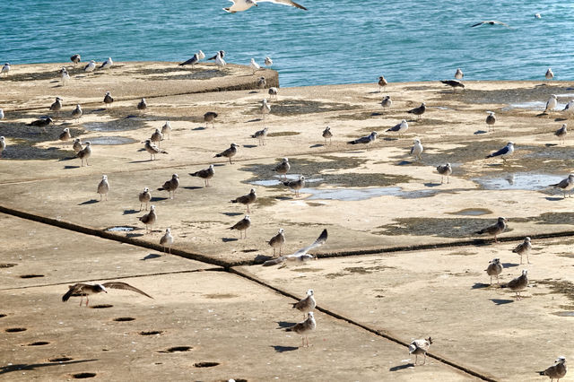 私藏大連海景攻略 私藏大連海景攻略