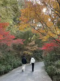 12.4西溪谷漫遊道5km徒步|路線+出片點+tips