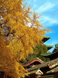 河南|嵩山少林寺