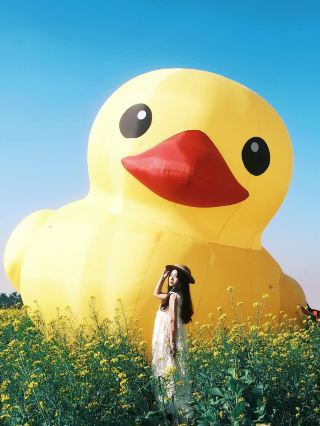 ปลดปล่อยจิตวิญญาณที่ถูกกักขังของคุณ! พบกับลูกเป็ดสีเหลืองตัวน้อยในทุ่งเรพซีดที่ต้าหลิน เมืองเจียอี้