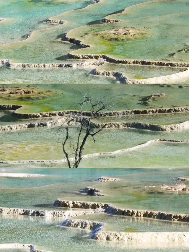 Sichuan Huanglong January Winter Tour｜Snow-capped Yaochi